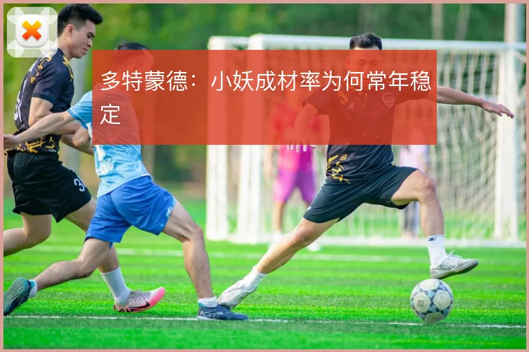多特蒙德：小妖成材率为何常年稳定