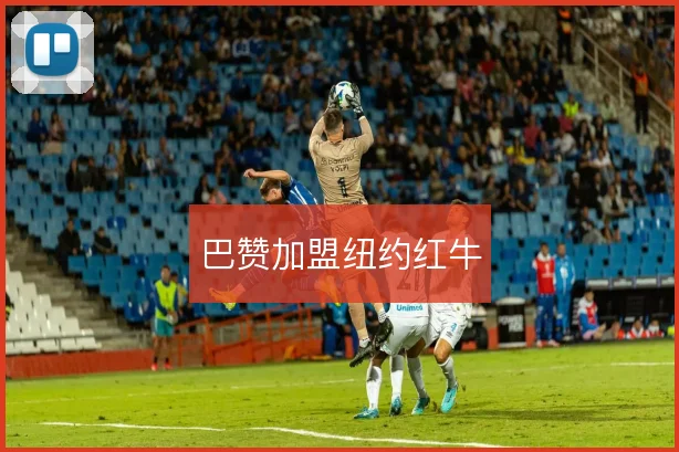 巴赞加盟纽约红牛