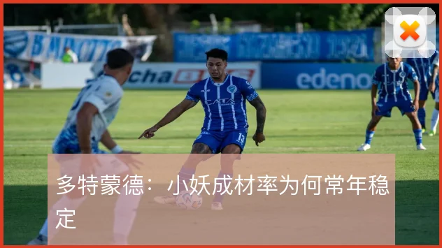 多特蒙德：小妖成材率为何常年稳定